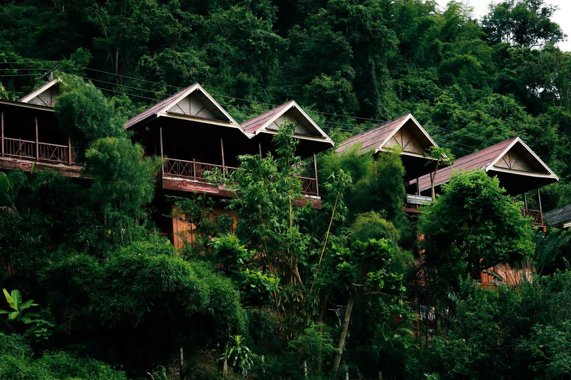 Wooden bungalows on stilts among tall tropical trees